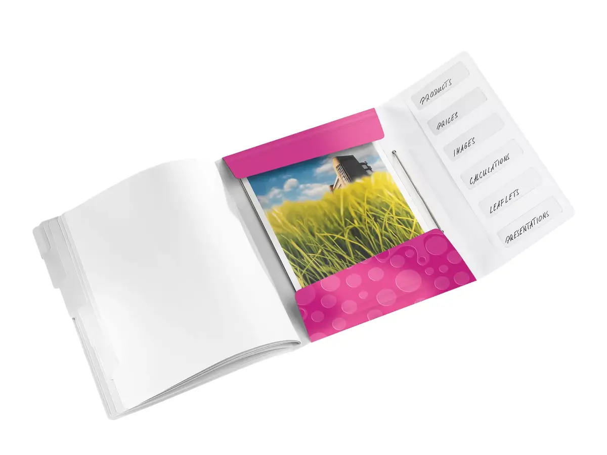 Folder Leitz WOW Polypropylene (PP) Metallic Pink Photo 2