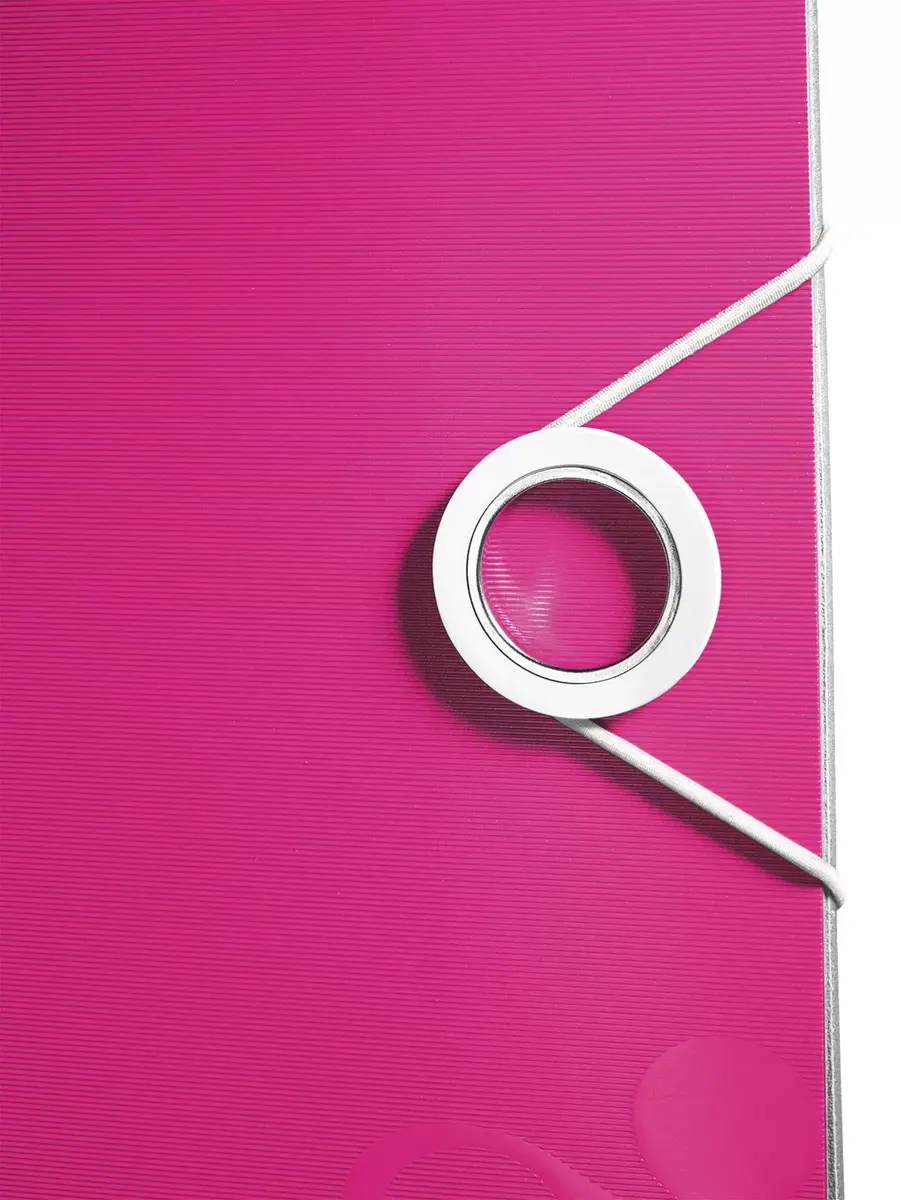 Ring binder Leitz 11060023 Photo 5
