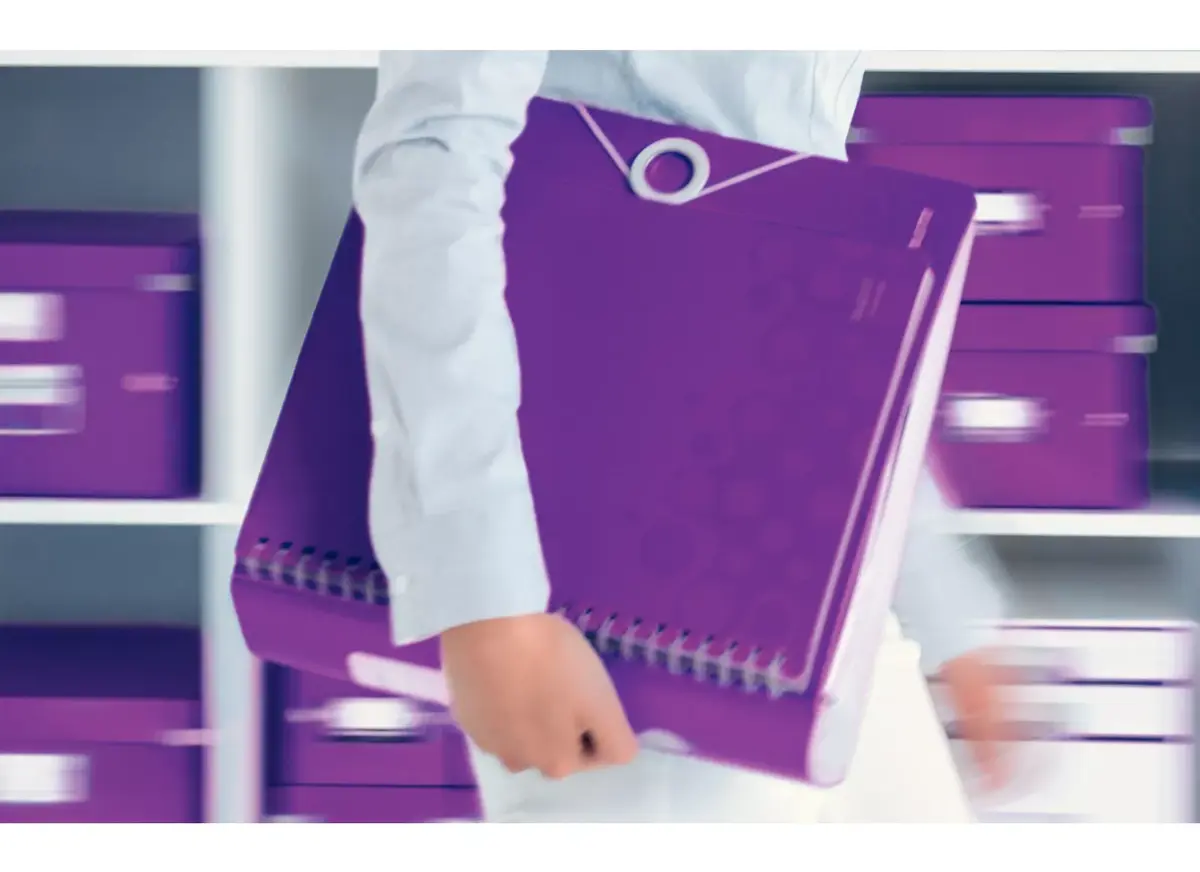 Ring Binder Leitz 11060062 Photo 3