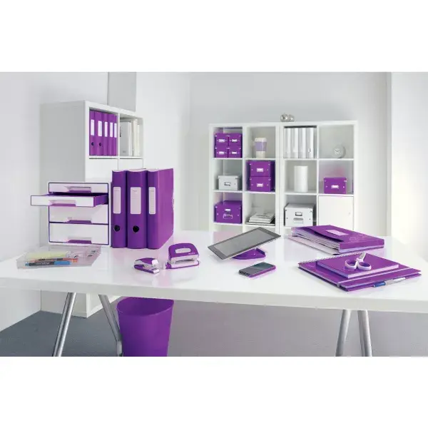 Ring Binder Leitz 11060062 Photo 4