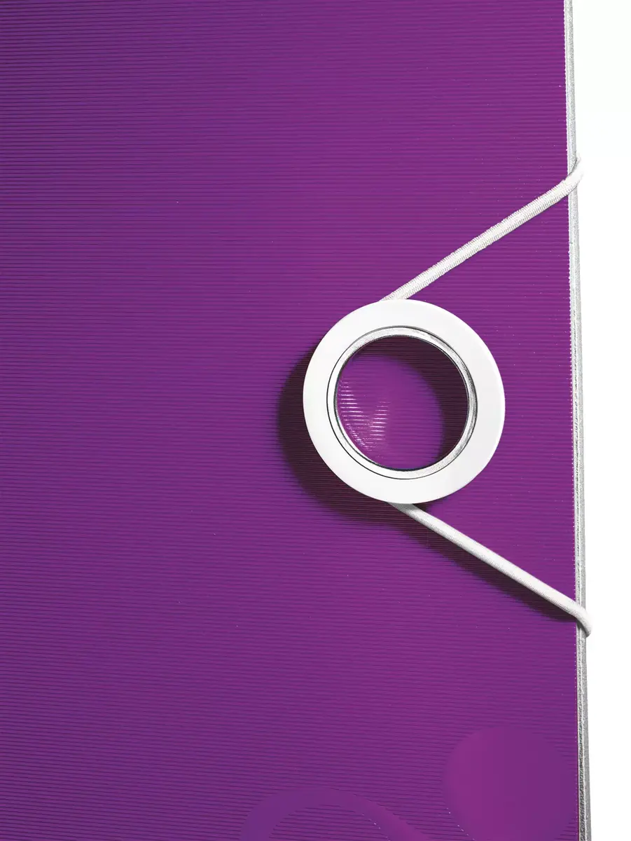 Ring Binder Leitz 11060062 Photo 5