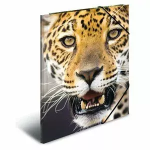 Folder Polypropylene (PP) HERMA 7142 A3 Multicolour