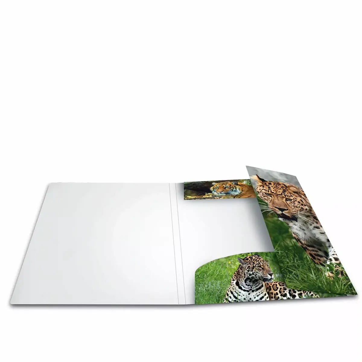 Folder HERMA 7137 Multicolour A4 Photo 2