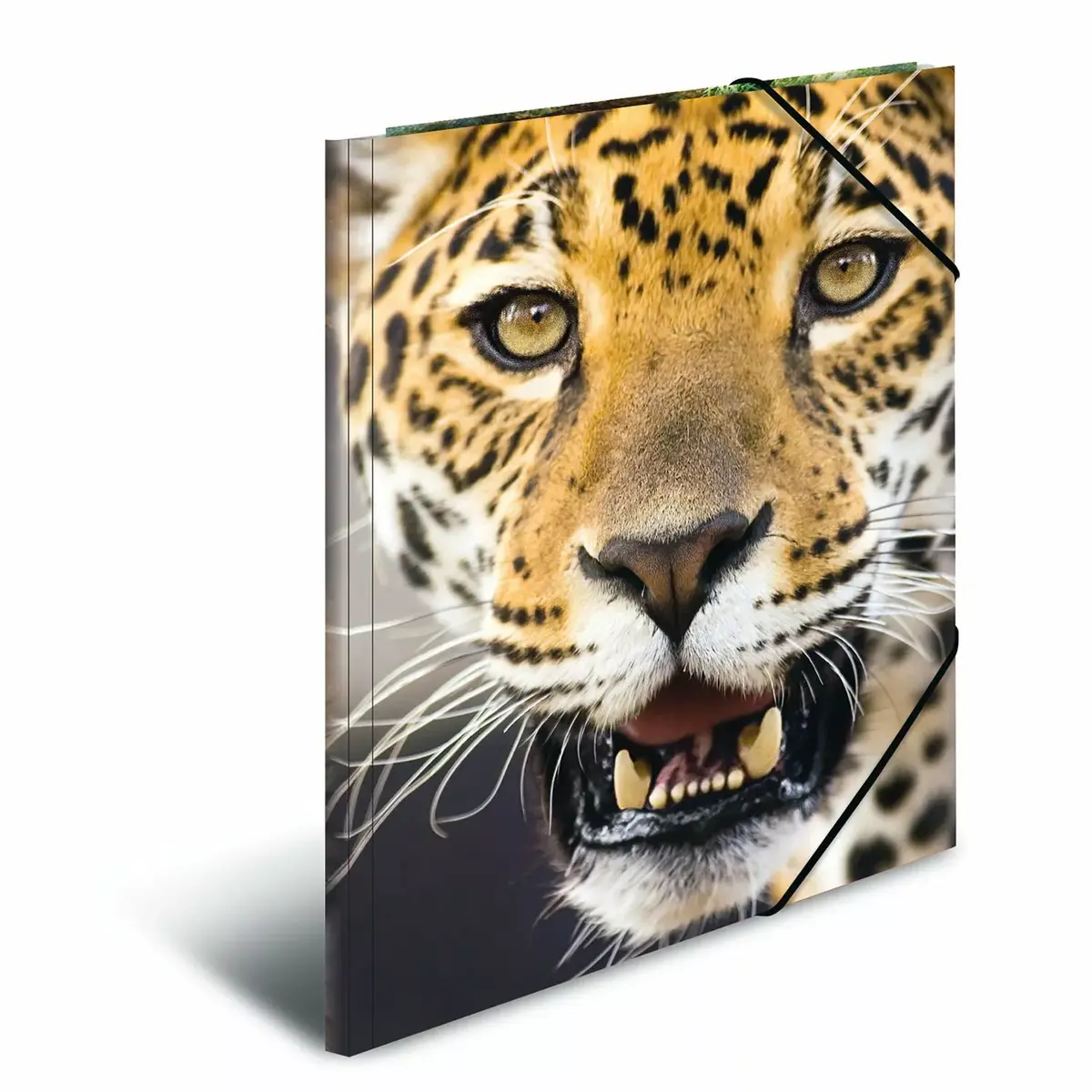 Folder HERMA 7137 Multicolour A4 Photo 3