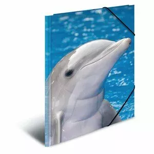 Folder Polypropylene (PP) HERMA 7146 A3 Blue Grey