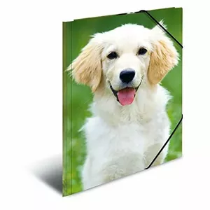 Folder Polypropylene (PP) HERMA 7139 A4 Multicolour