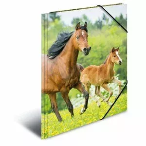 Folder HERMA 7140 Polypropylene (PP) Multicolour A4
