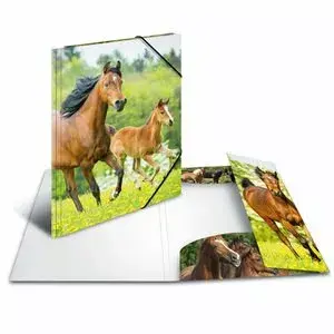 Folder HERMA 7140 Polypropylene (PP) Multicolour A4 Photo 2