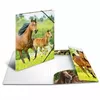Folder HERMA 7140 Polypropylene (PP) Multicolour A4 Photo 2