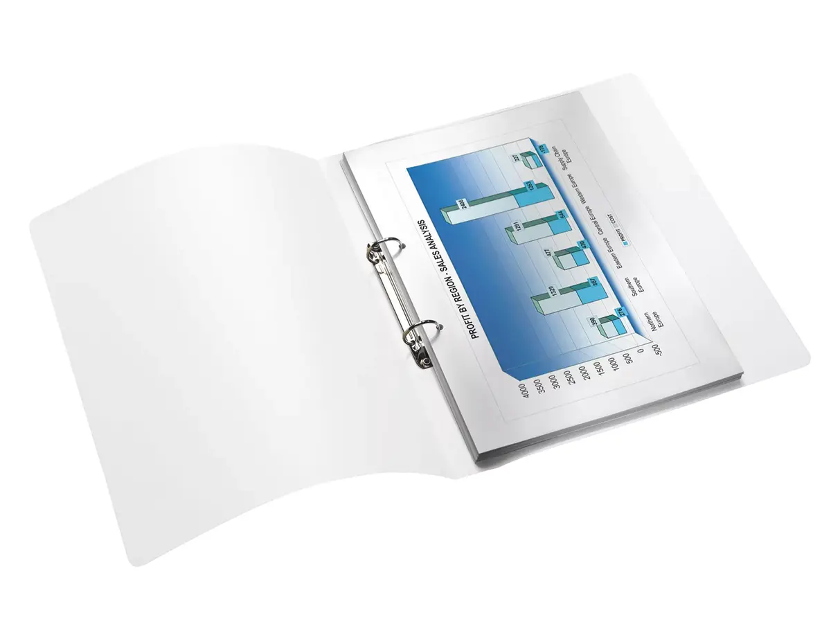 Ring Binder Leitz 42570062 Photo 2