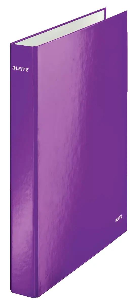 Ring binder Leitz 42410062 Photo 2
