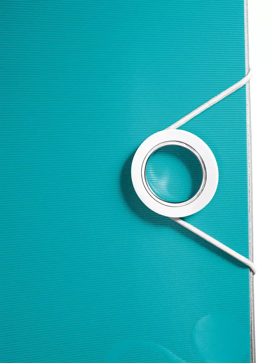 Ring Binder Leitz 11060051 Photo 2
