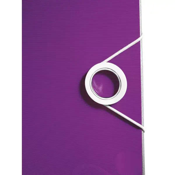 Ring binder Leitz 11070062 Photo 3