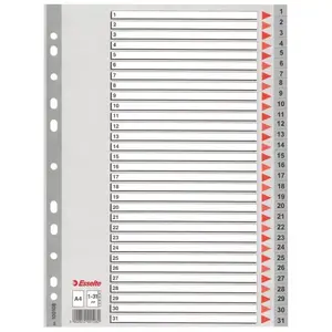 Plastic indexes Esselte 100108