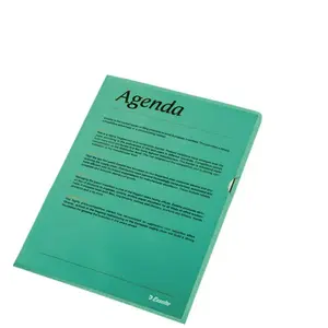 Folder Polypropylene (PP) Esselte 54838 Green A4