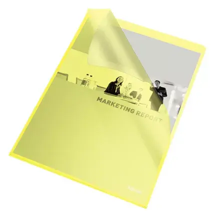 Folder Esselte 54842 Photo 2
