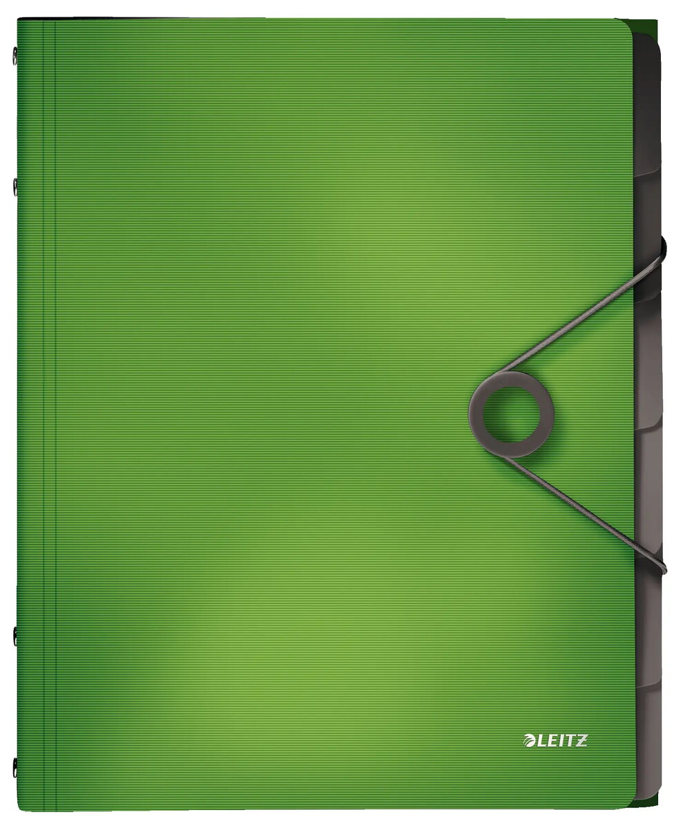 LEITZ Solid 4569-10-50 A4 formāta polipropilēna