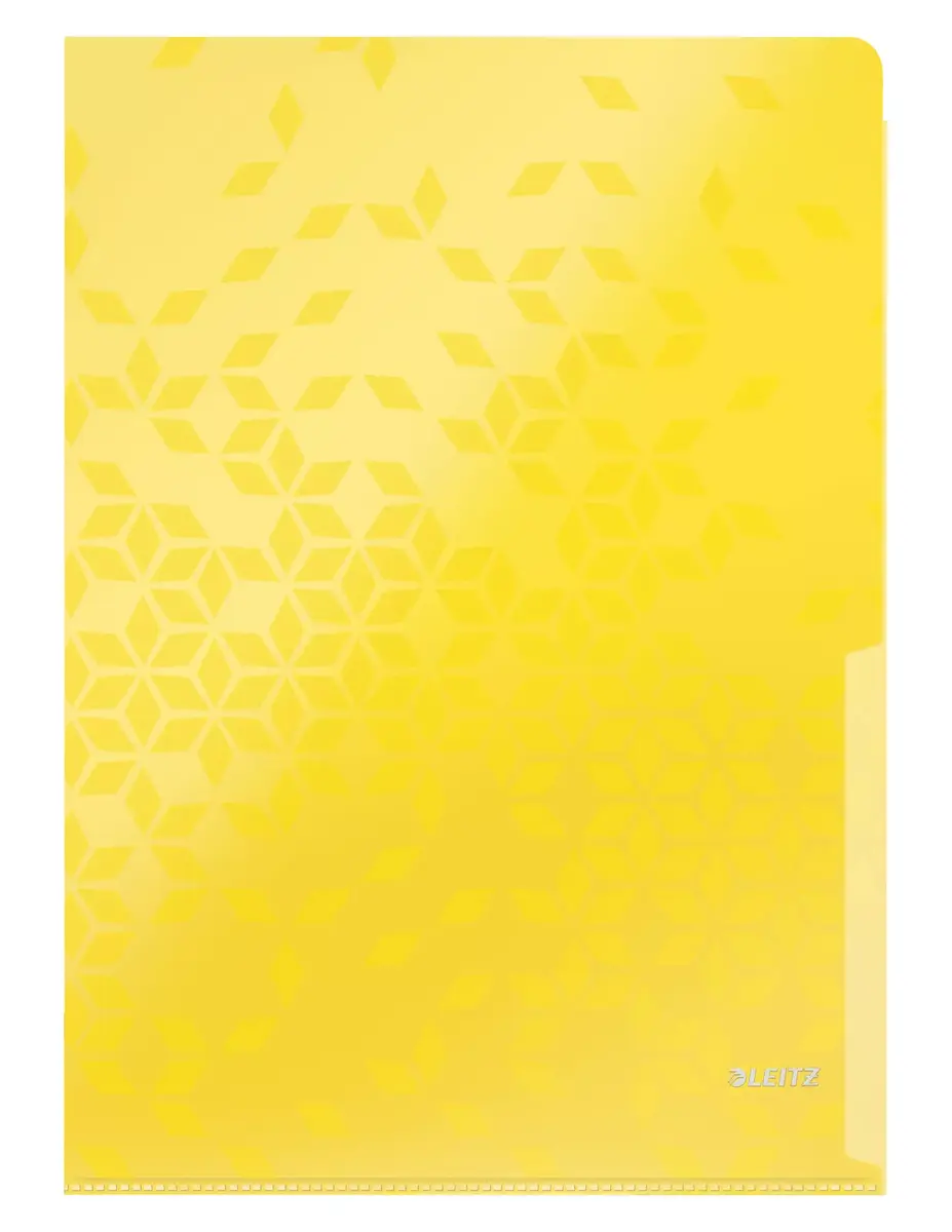 LEITZ Folder WOW A4 PP Photo 2