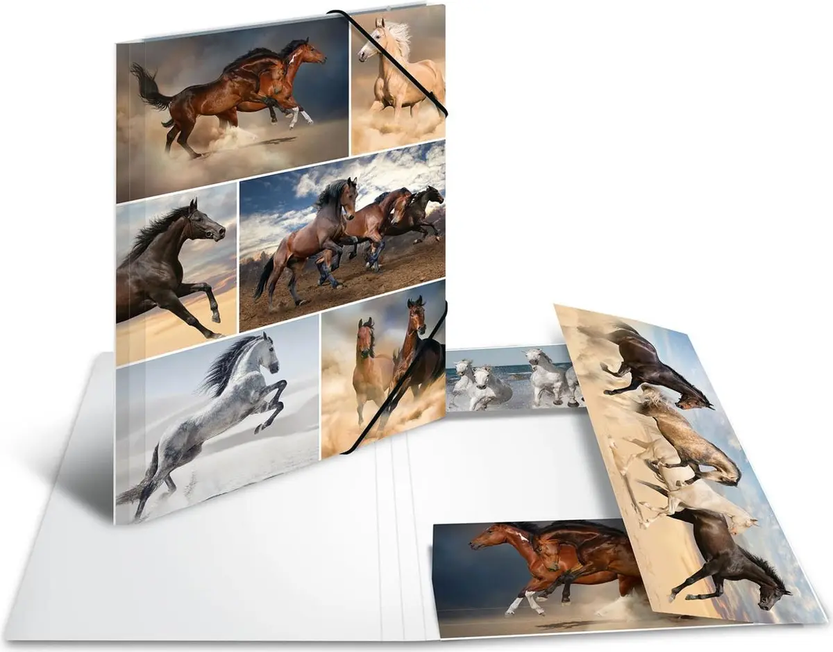 Folder Cardboard HERMA 19209 Photo 5