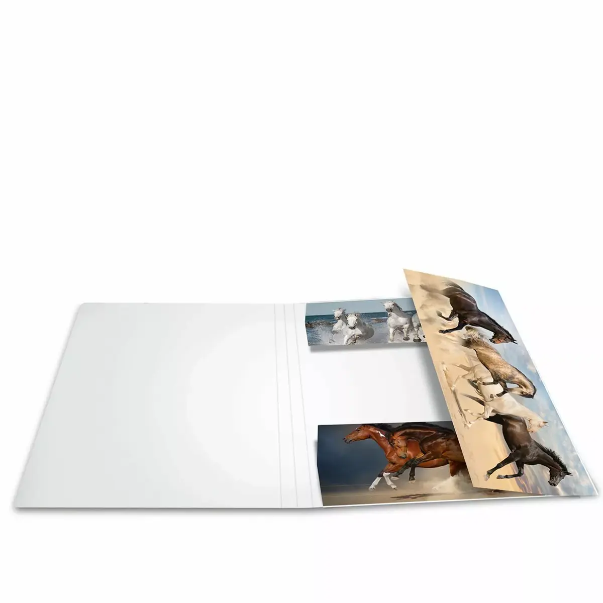 Folder Cardboard HERMA 19209 Photo 2