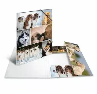 Folder Cardboard HERMA 19211 Photo 2