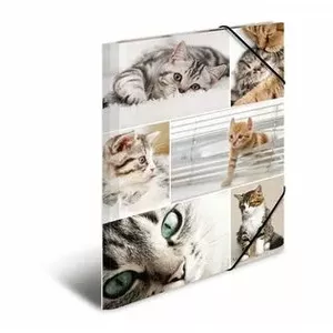 Folder Cardboard HERMA 19212 A4 Multicolour