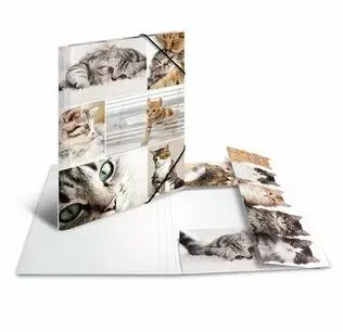 Folder Cardboard HERMA 19212 Photo 2