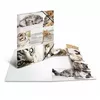 Folder Cardboard HERMA 19212 Photo 2