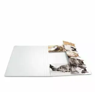 Folder Cardboard HERMA 19212 Photo 4