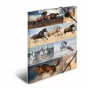 Folder Cardboard HERMA 19217 A3 Multicolour