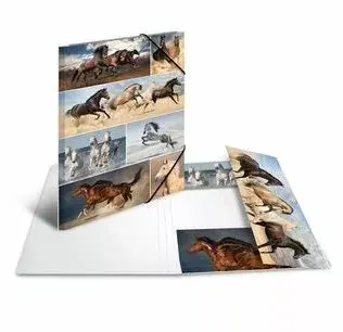 Folder Cardboard HERMA 19217 Photo 2