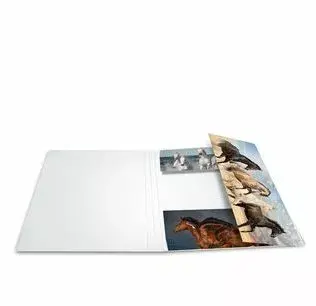Folder Cardboard HERMA 19217 Photo 4