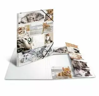 Folder Cardboard HERMA 19219 Photo 2