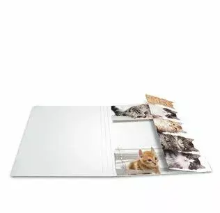 Folder Cardboard HERMA 19219 Photo 4