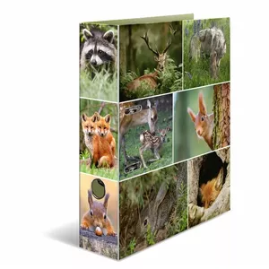 ring binder HERMA 7202 A4 Multicolour