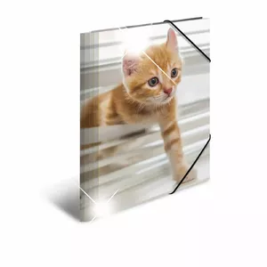 Conventional file folder HERMA 19328