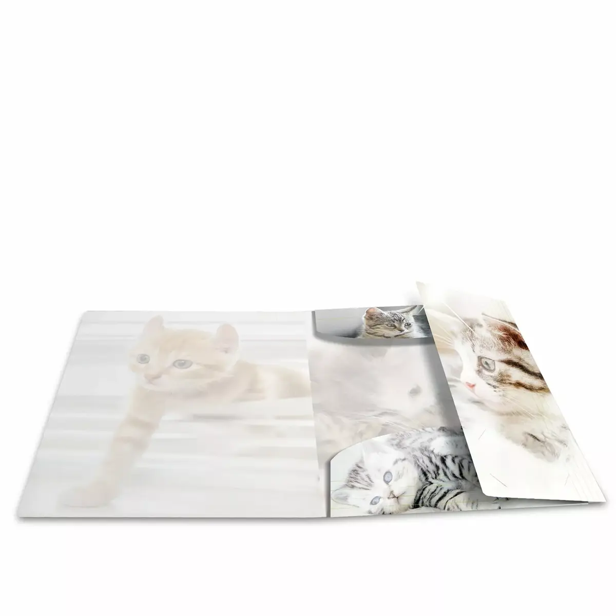Conventional file folder HERMA 19328 Photo 2