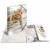 Conventional file folder HERMA 19328 Photo 3