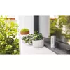 Цифровая метеостанция Netatmo NWS01-EC Photo 7