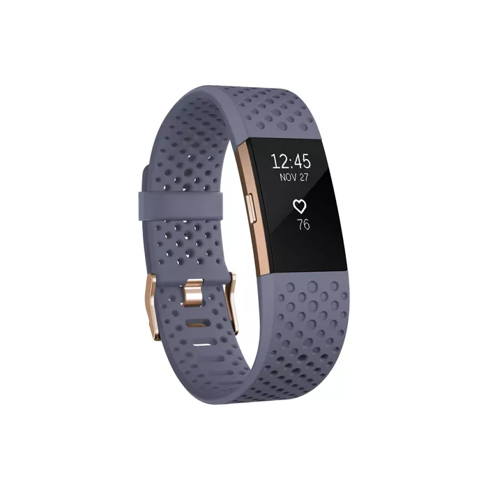 Fitbit FB407RGGYL-EU Photo 1