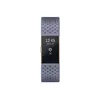 Fitbit FB407RGGYS-EU Photo 2