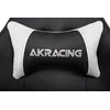 AKracing AK-SX-WT Photo 9