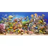 Castorland Underwater life puzle — 4000 gab. Photo 2
