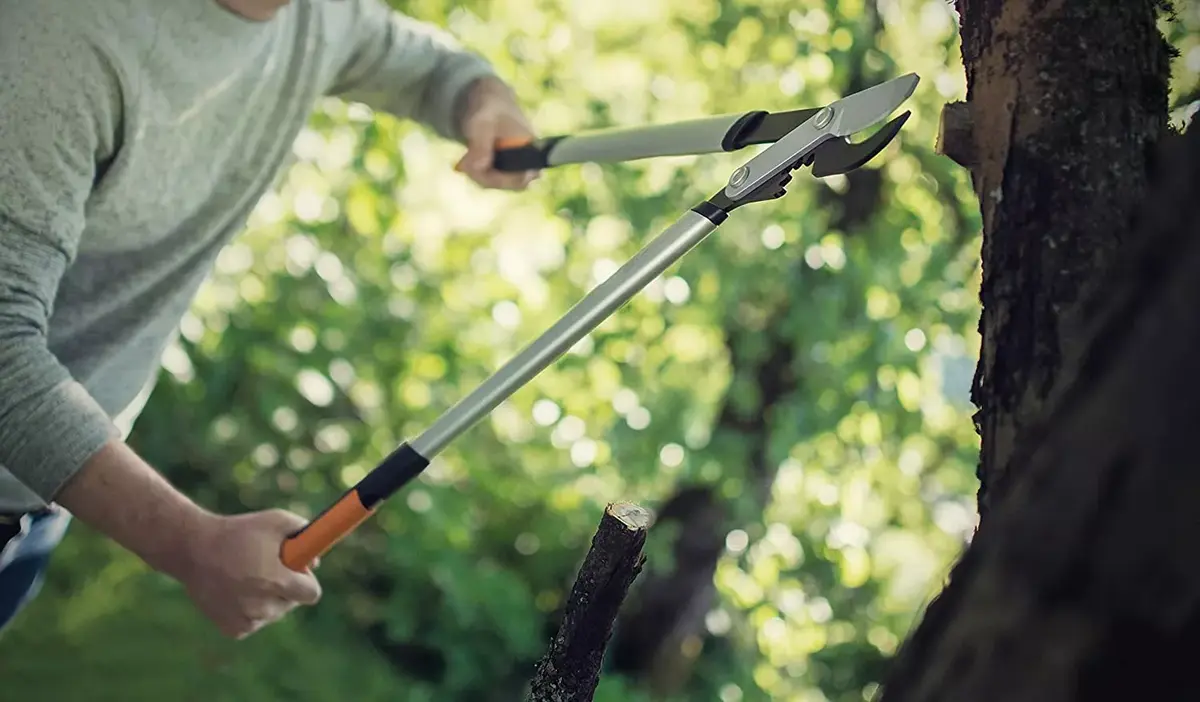 Bypass lopper Fiskars PowerGearX Steel L LX98 Photo 4