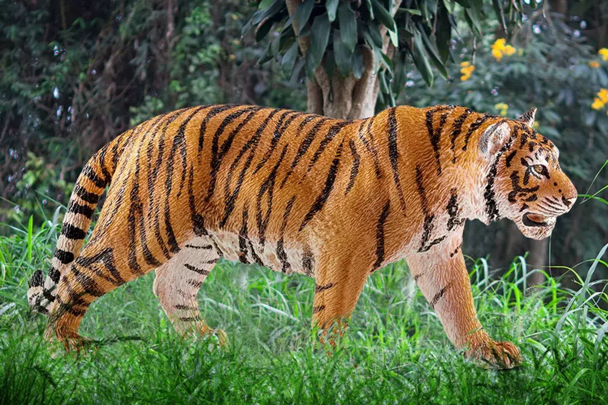 Figūra Schleich WILD LIFE Tiger Photo 2