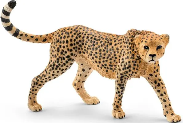 Figure Schleich WILD LIFE Cheetah female 14746 Photo 3