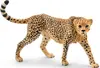 Figure Schleich WILD LIFE Cheetah female 14746 Photo 3