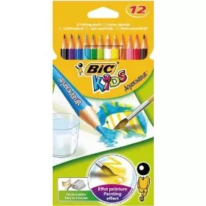 BIC Aquacouleurs 12 pcs