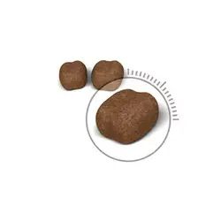 Royal Canin Oral Care Adult Rīsi un Dārzeņi 8 kg Photo 2