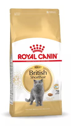 Sausā barība kaķiem Royal Canin British